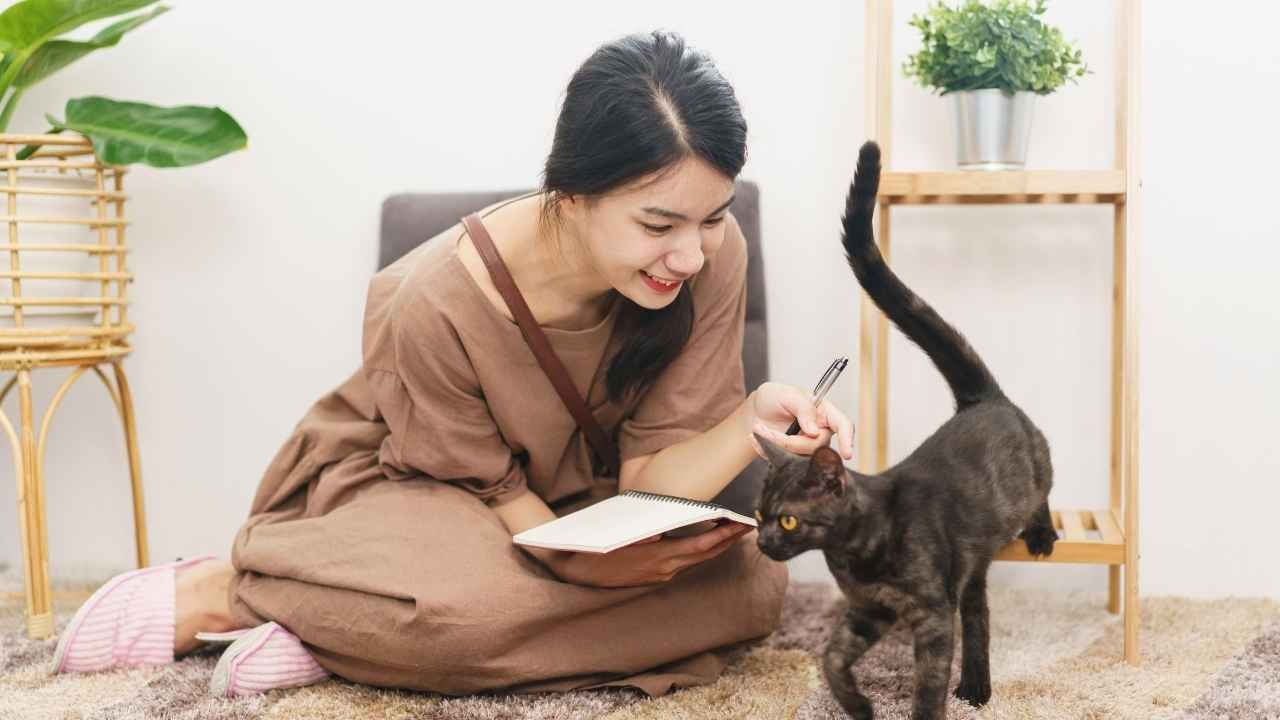 Why Does My Cat Follow Me Everywhere?